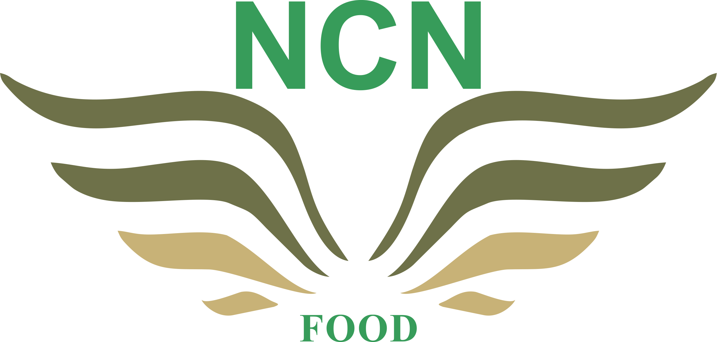 NCN FOOD Logo